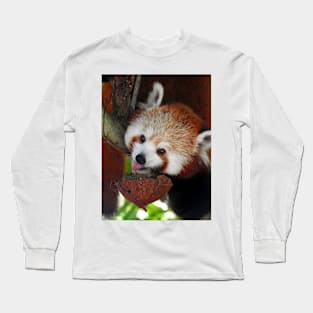 Red Panda Long Sleeve T-Shirt